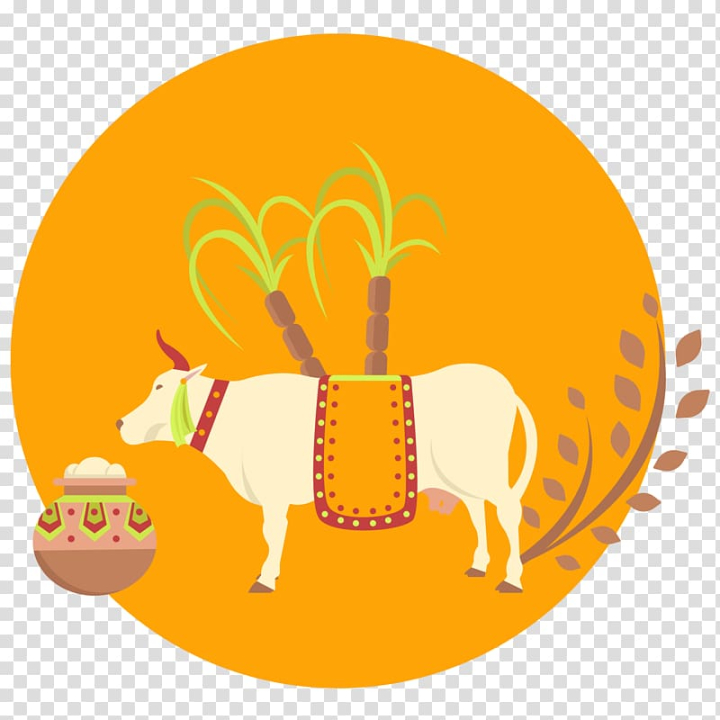 thai,pongal,flat,design,euclidean,cow,rice,mammal,food,animals,orange,palm tree,happy birthday vector images,cow vector,rice paddy,rice bags,encapsulated postscript,pumpkin,rice field,rice vector,rice bowl,web page,cows,dairy cow,earthen jar,fried rice,circle,cattle,yellow,thai pongal,flat design,euclidean vector,png clipart,free png,transparent background,free clipart,clip art,free download,png,comhiclipart