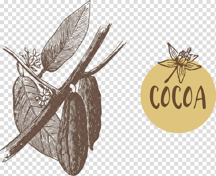 cocoa,bean,euclidean,theobroma,cacao,tree,illustration,other,food,leaf,tree branch,palm tree,happy birthday vector images,encapsulated postscript,design,orange fruit,pattern,pollinator,produce,product design,apple fruit,membrane winged insect,chocolate,cocoa beans,drawing,font,fruit juice,graphics,fruit,cocoa bean,euclidean vector,theobroma cacao,cacao tree,vector illustration,png clipart,free png,transparent background,free clipart,clip art,free download,png,comhiclipart