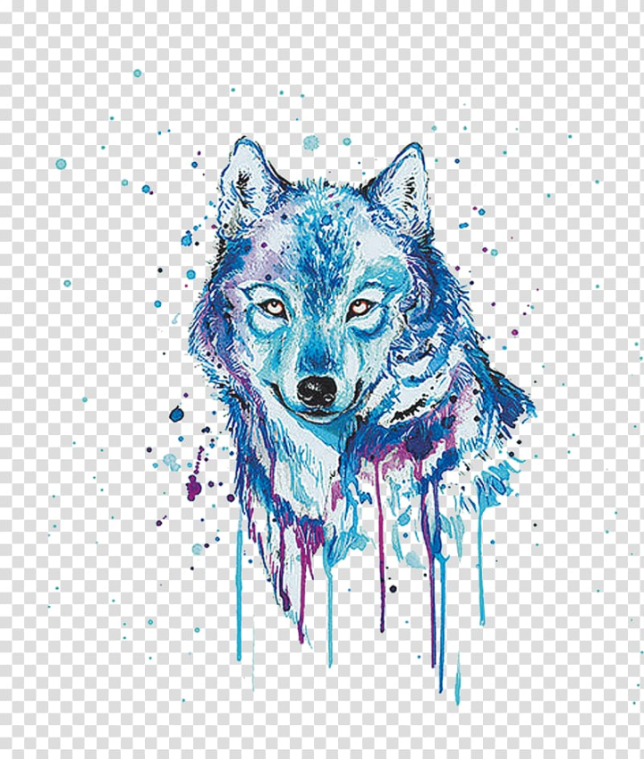 Gray Wolf PNG Transparent Images Free Download