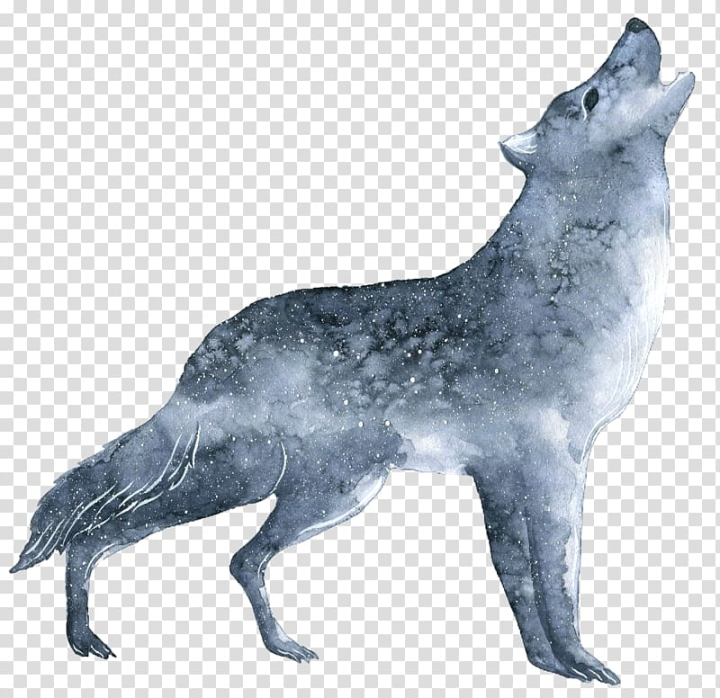 gray,wolf,watercolor painting,mammal,carnivoran,dog like mammal,fauna,wildlife,wolf avatar,tail,snout,animal,fox,web open font format,watercolor wolf,white wolf,truetype,wolf head,angry wolf face,script typeface,red fox,background,black and white,black wolf,coyote,dog,jackal,opentype,organism,wolf vector,gray wolf,font,white,black,howling,illustration,png clipart,free png,transparent background,free clipart,clip art,free download,png,comhiclipart