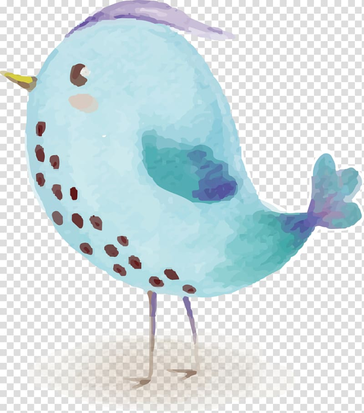 bird,watercolor,painting,blue,cartoon,encapsulated postscript,design,feather,turquoise,text file,pattern,birds,beak,wing,watercolor painting,blue bird,drawing,png clipart,free png,transparent background,free clipart,clip art,free download,png,comhiclipart