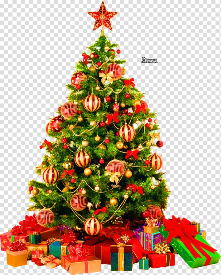 Free: Christmas tree , Christmas present transparent background PNG ...