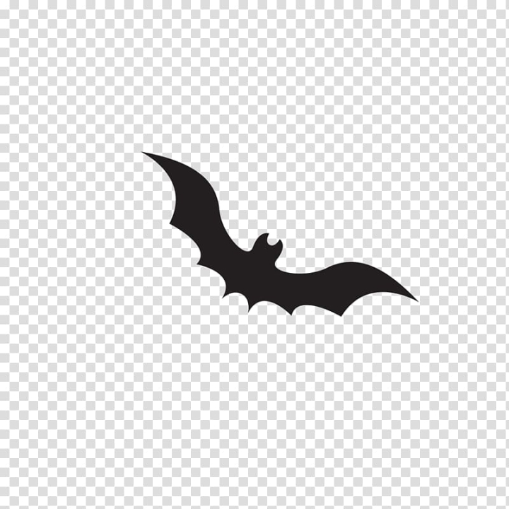 Halloween bat png images