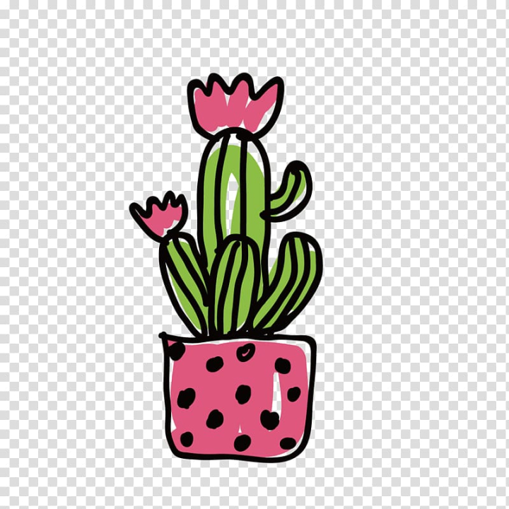 Cactus PNG, Vector, PSD, and Clipart With Transparent Background for Free  Download