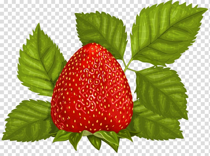natural foods,frutti di bosco,food,strawberries,superfood,sugar,tayberry,strawberry pie,produce,accessory fruit,loganberry,fruits,berry,west indian raspberry,juice,strawberry,fruit,leaf,leaves,red,png clipart,free png,transparent background,free clipart,clip art,free download,png,comhiclipart