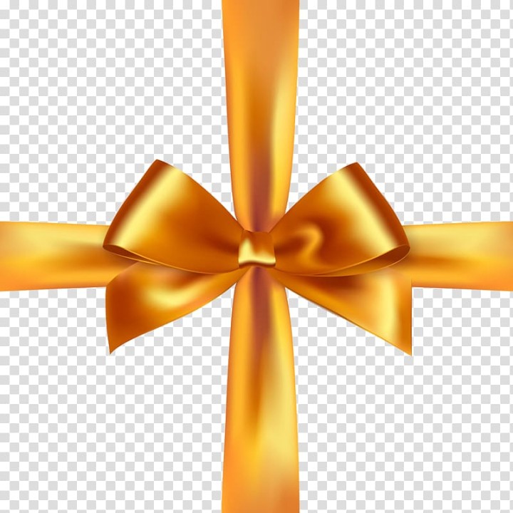 Beautiful bows from orange ribbon on transparent background PNG