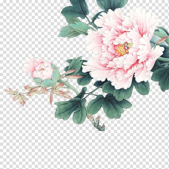 moutan,peony,chinese,painting,flower arranging,chinese style,artificial flower,flower,peony flower,spring,vector peony flower,plant,pink peony,rosa centifolia,rose family,style,white peony,watercolor peony,watercolor peonies,u767du63cfu753b,u6d1bu9633u7261u4e39,u65b0u6d6au535au5ba2,u4e8eu975eu6697,xu beihong,pink,petal,birdandflower painting,blog,blossom,calligraphy,cut flowers,floral design,floristry,flower bouquet,moutan peony,nature,flowering plant,peonies,gongbi,chinese painting,inkstick,flowers,illustration,png clipart,free png,transparent background,free clipart,clip art,free download,png,comhiclipart