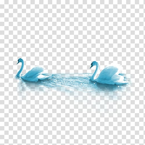 kissed,dating,goodbye,ufubuuuuuucea,handle,adversity,uebbucubaucfuf,mid,multi,layer,material,swan,blue,animals,teal,computer wallpaper,bird,encapsulated postscript,feather,midautumn festival,multi color,midautumn,multi colored,mid autumn,multilayer vector,midhd vector,swan vector,turquoise,water,water bird,waterfowl,materials,azure,beak,book on leadership,adobe illustrator,duck,ducks geese and swans,falling in love,festival,joshua harris,layers,material vector,aqua,i kissed dating goodbye,book,leadership,how to,hd,multi-layer,png clipart,free png,transparent background,free clipart,clip art,free download,png,comhiclipart