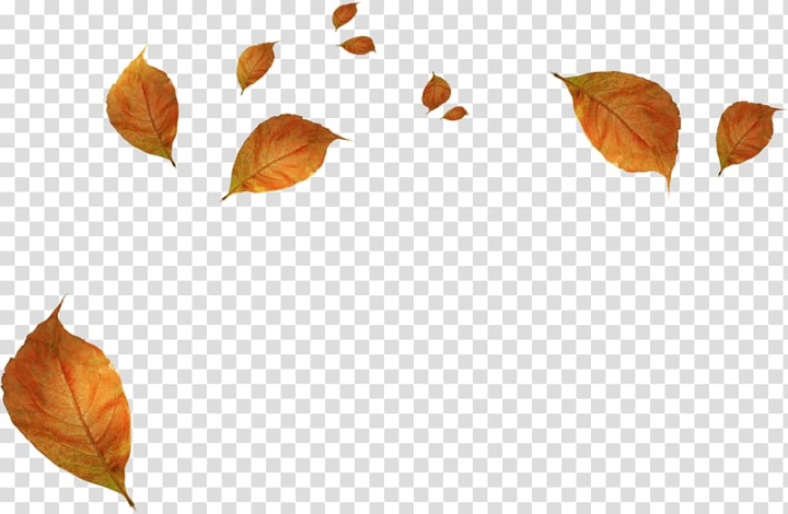 brown leaves cartoon