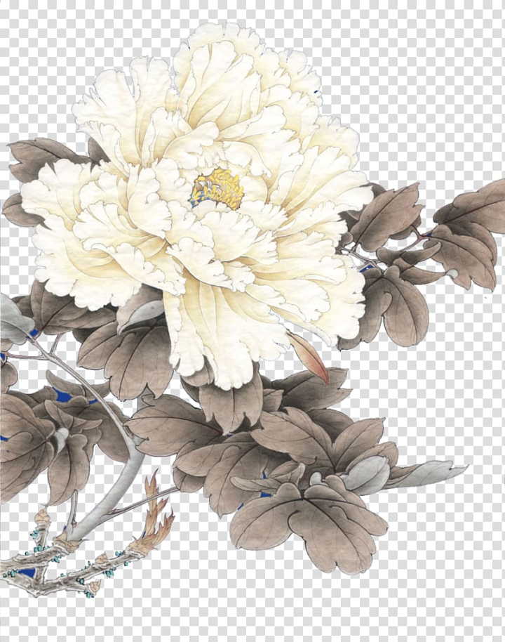 solar,term,white,peony,background,material,flower arranging,black white,artificial flower,flower,flowers,materials,moutan peony,nature,petal,white flower,plant,qiufen,white background,background material,background white,cut flowers,drawing,floral design,floristry,flower bouquet,flowering plant,idea,information,white smoke,solar term,mangzhong,jingzhe,lichun,white peony,png clipart,free png,transparent background,free clipart,clip art,free download,png,comhiclipart