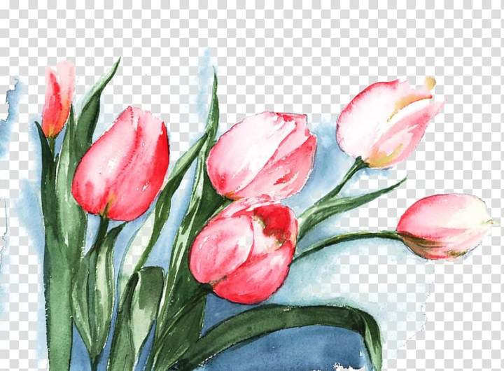 Wall Mural tulip flower on a stem with leaves 