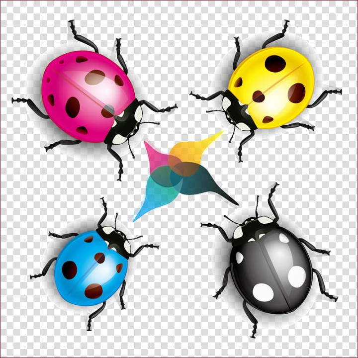 Ladybug Decorative Transparent Image​