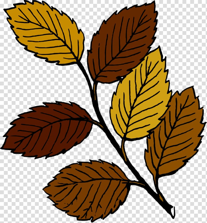 Natural Leaves PNG Transparent Images Free Download
