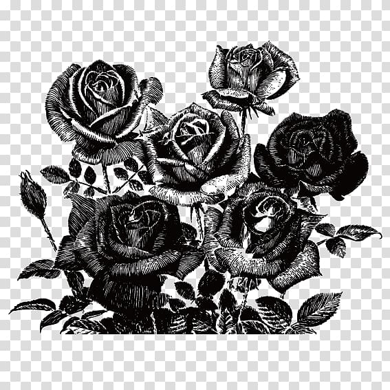 Rose Black And White png download - 555*1110 - Free Transparent North png  Download. - CleanPNG / KissPNG