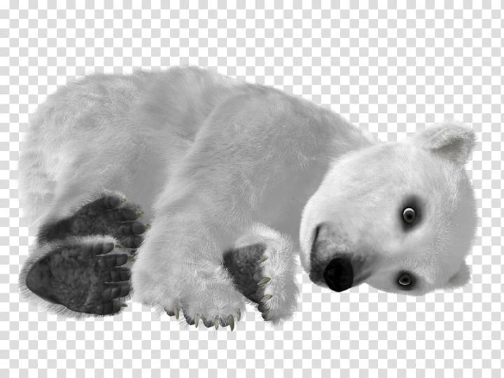 baby polar bear clipart black and white