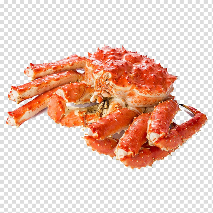 king,crab,king crab,autumn crab,red,autumn,king clipart,crab clipart,png clipart,free png,transparent background,free clipart,clip art,free download,png,comhiclipart