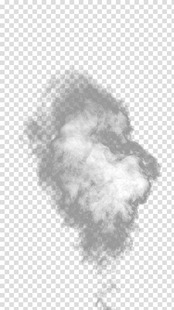 white,smoke,steam,foggy,float,heat,steam smoke,white clipart,smoke clipart,png clipart,free png,transparent background,free clipart,clip art,free download,png,comhiclipart