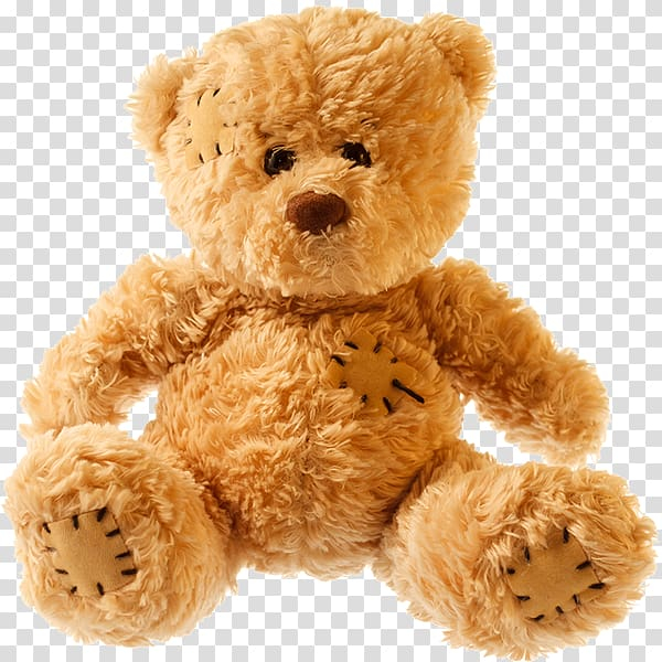 first,teddy,bears,stuffed,animals,amp,cuddly,toys,bear,child,desktop wallpaper,cuteness,doll,teddy bear,toy,stuffed toy,stuffed animals  cuddly toys,stock photography,plush,gund,fur clothing,arson,x 600,teddy bears,stuffed animals,cuddly toys,png clipart,free png,transparent background,free clipart,clip art,free download,png,comhiclipart
