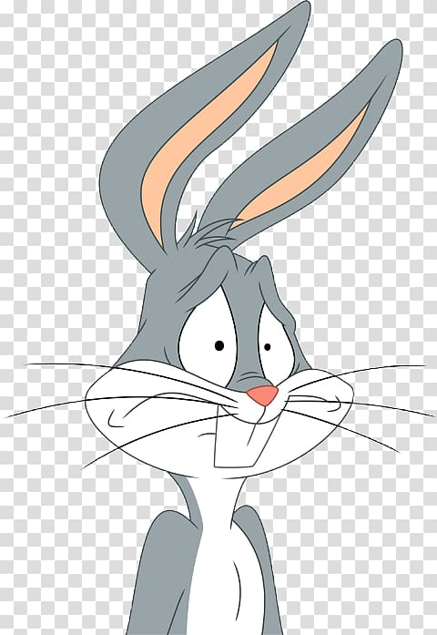 bugs,bunny,daffy,duck,lola,looney,tunes,animated,cartoon,rabbit,mammal,animals,cat like mammal,carnivoran,vertebrate,head,hare,fictional character,tail,whiskers,small to medium sized cats,looney tunes show,nose,organism,rabits and hares,space jam,animated cartoon,warner bros cartoons,cat,looney tunes,lola bunny,character,chuck jones,cool,daffy duck,domestic rabbit,drawing,ear,bugs bunny,hase,bug,joint,wing,png clipart,free png,transparent background,free clipart,clip art,free download,png,comhiclipart