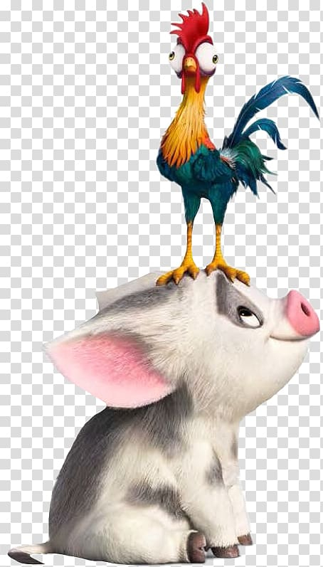 hei,rooster,walt,disney,company,drawing,academy,award,best,animated,feature,film,baby,moana,others,galliformes,chicken,pixar,bird,film poster,feather,moana disney,academy award for best animated feature film,poultry,timon  pumbaa,walt disney company,loly 33,loly,livestock,hei hei the rooster,character,beak,baby moana,walt disney pictures,png clipart,free png,transparent background,free clipart,clip art,free download,png,comhiclipart
