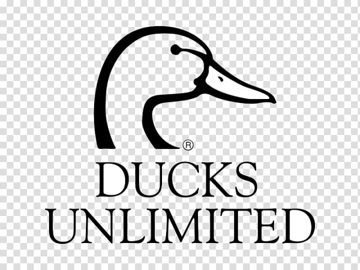 Free: Ducks Unlimited Logo Water bird Goose, duck transparent background  PNG clipart 