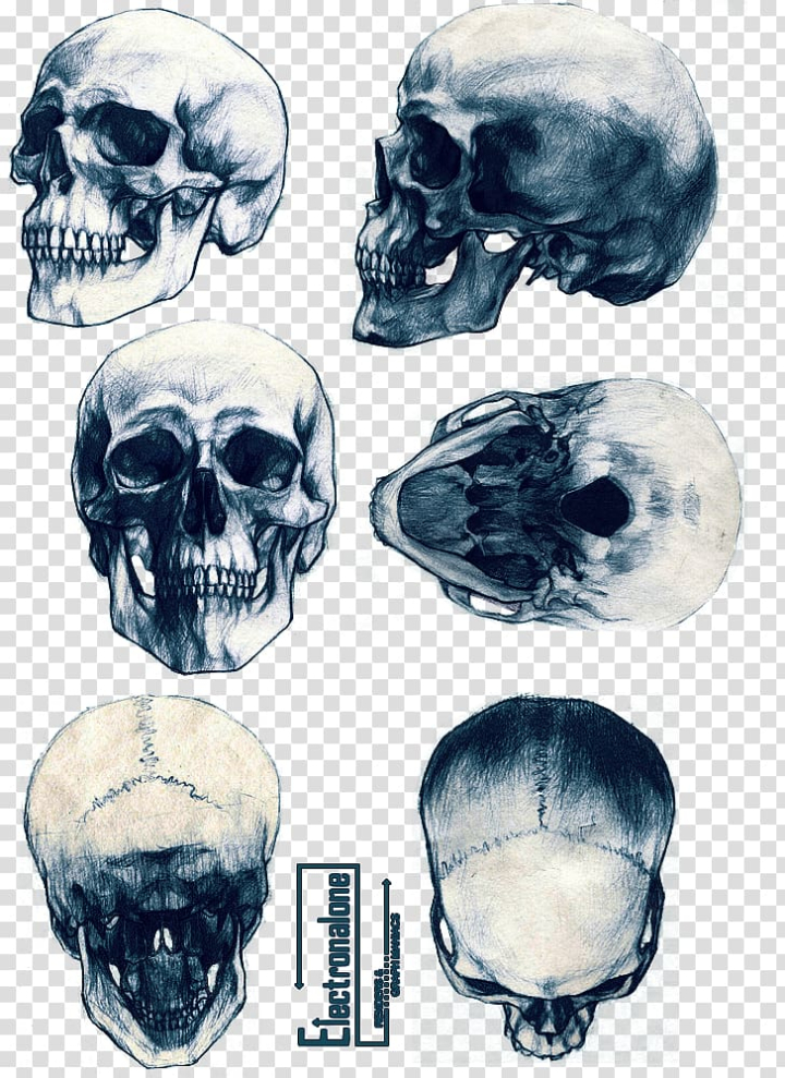 ArtStation - 70 Skull Tattoo & Hand Drawn Print Arts - Vol 02 | Artworks