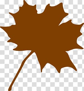 canada,maple,leaf,sugar,brown,cliparts,maple leaf,autumn,sugar maple,plant,japanese maple,green,flowering plant,flag of canada,brown cliparts,autumn leaf color,tree,png clipart,free png,transparent background,free clipart,clip art,free download,png,comhiclipart