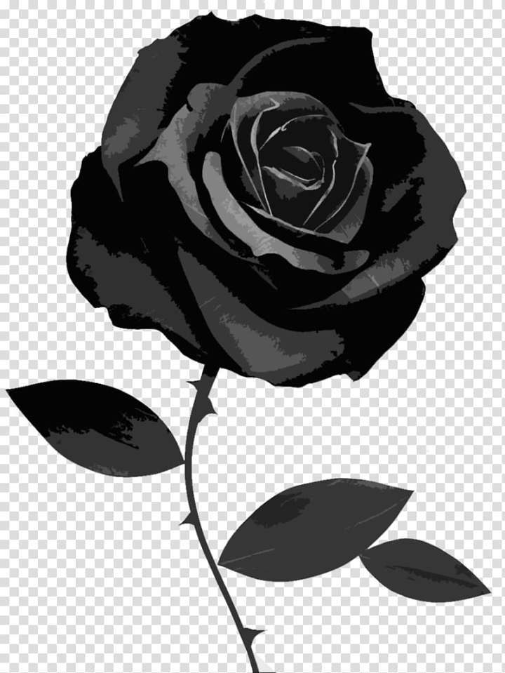 black,rose,desktop,white,leaf,monochrome,color,flower,silhouette,flowers,rose order,flora,thumbnail,computer icons,rose family,plant,petal,monochrome photography,black and white,garden roses,flowering plant,drawing,black rose,desktop wallpaper,symbol,illustration,png clipart,free png,transparent background,free clipart,clip art,free download,png,comhiclipart
