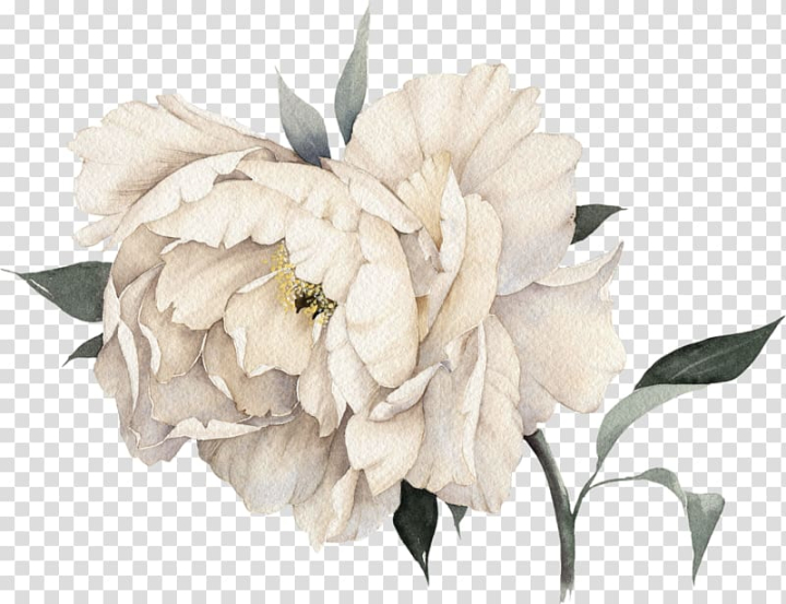 Free: White peony flower illustration, Chanel No. 5 Coco Mademoiselle  Perfume, Light pink peony flowers transparent background PNG clipart 