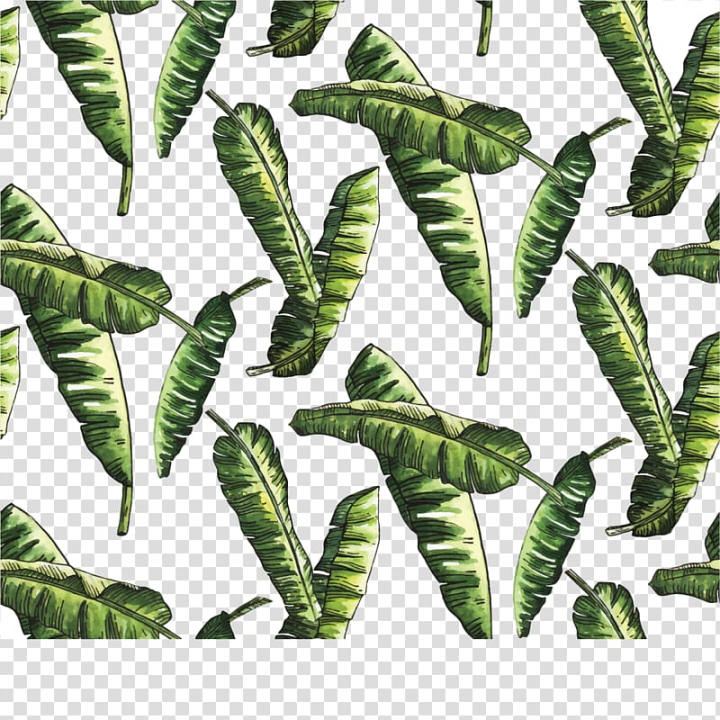 euclidean,watercolor,painting,green,bamboo,leaves,watercolor leaves,plant stem,happy birthday vector images,green vector,fall leaves,palm leaves,decorative background,green tea,handpainted plants,tree,plant,background green,organism,nature,leaves vector,bamboo vector,large leaves,banana,euclidean vector,leaf,watercolor painting,green bamboo,png clipart,free png,transparent background,free clipart,clip art,free download,png,comhiclipart