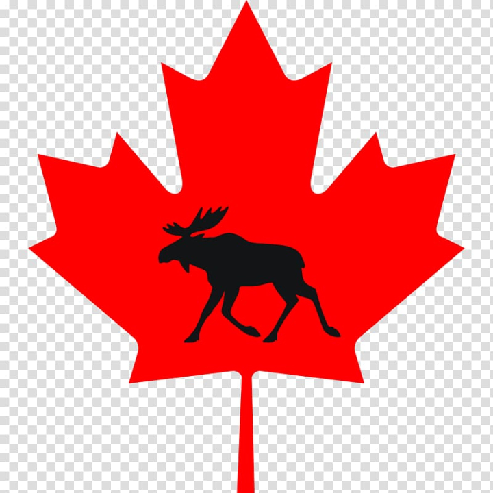 maple,leaf,canada,flag,maple leaf,world,flower,fictional character,red,symbol,plant,tree,woody plant,line,information,flowering plant,flag of canada,cryptocurrency wallet,computer icons,canada flag,autumn,artwork,png clipart,free png,transparent background,free clipart,clip art,free download,png,comhiclipart