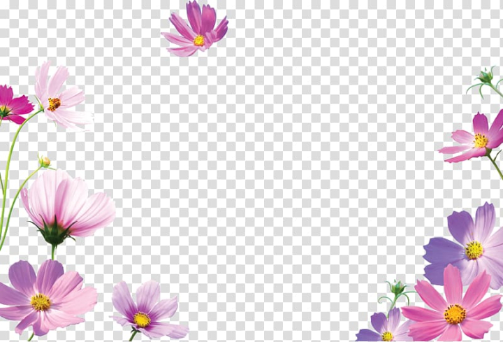 frames,desktop,flower,purple,herbaceous plant,flower arranging,child,violet,computer wallpaper,annual plant,magenta,daisy family,spring,violet family,wildflower,garden cosmos,blossom,cosmos,dots per inch,screenshot,flora,plant,floral design,petal,nature,floristry,flowering plant,picture frames,desktop wallpaper,png clipart,free png,transparent background,free clipart,clip art,free download,png,comhiclipart
