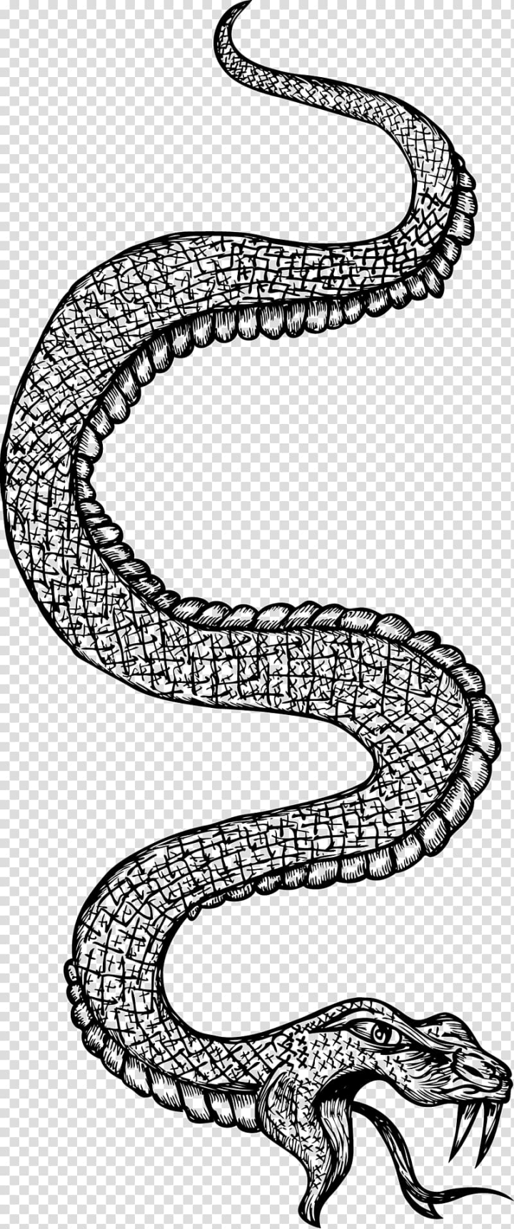black,white,line,animals,vertebrate,monochrome,scaled reptile,vipers,shoe,tattoo,viper,kingsnake,serpent,reptile,body jewelry,organism,drawing,python family,snake,black and white,white line,line art,png clipart,free png,transparent background,free clipart,clip art,free download,png,comhiclipart