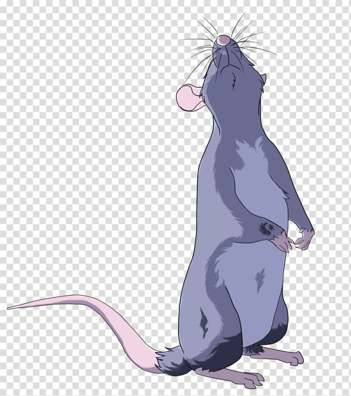 rat,drawing,cat,line,sketch,amp,mouse,purple,mammal,pencil,animals,cat like mammal,carnivoran,shading,vertebrate,fauna,cartoon,fictional character,tail,small to medium sized cats,whiskers,muridae,organism,line art,rodent,rat  mouse,murids,pest,muroidea,png clipart,free png,transparent background,free clipart,clip art,free download,png,comhiclipart