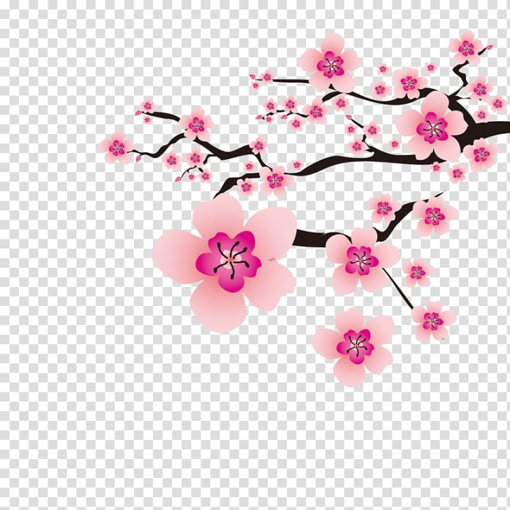 cherry,blossom,plum,flower,branch,flowers,fruit  nut,spring,plant,pink flower,rose,scalable vector graphics,watercolor flower,pink,petal,peach blossom,drawing,floral design,flower bouquet,flower pattern,flower vector,flowering plant,moth orchid,peach,watercolor flowers,cherry blossom,plum blossom,plum flower,tree,png clipart,free png,transparent background,free clipart,clip art,free download,png,comhiclipart