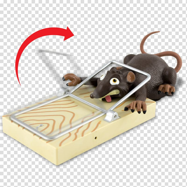 amp,animals,animal,muridae,cool s,rat  mouse,price,pest,murids,animal trap,animation,halloween film series,halloween,rat,mousetrap,rodent,trapping,mouse,png clipart,free png,transparent background,free clipart,clip art,free download,png,comhiclipart