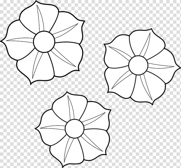 Free Line art Petunia Drawing  drawing flower transparent background PNG  clipart  nohatcc