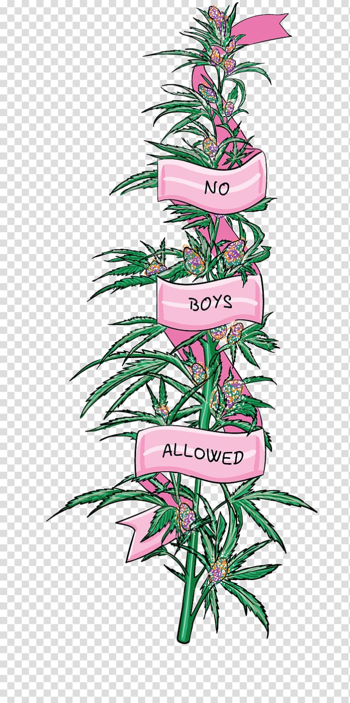 Free: Green and pink leafed plant illustration, Cannabis sativa Hash ...