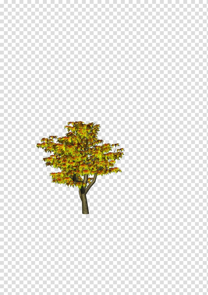 tree,picsart,studio,leaf,tree branch,palm tree,pine tree,family tree,leaves,picsart photo studio,trees,yellow,nature,line,1080p,autumn tree,christmas tree,death,decoration,directory,editing,fir,zip,png clipart,free png,transparent background,free clipart,clip art,free download,png,comhiclipart