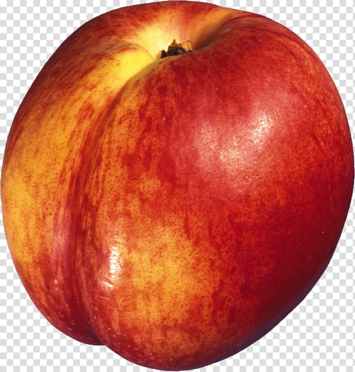 nectarine,fruit,common,plum,saturn,peach,miscellaneous,food,others,royaltyfree,winter squash,mcintosh,stock photography,saturn peach,auglis,quark,pluot,common plum,local food,apple,png clipart,free png,transparent background,free clipart,clip art,free download,png,comhiclipart
