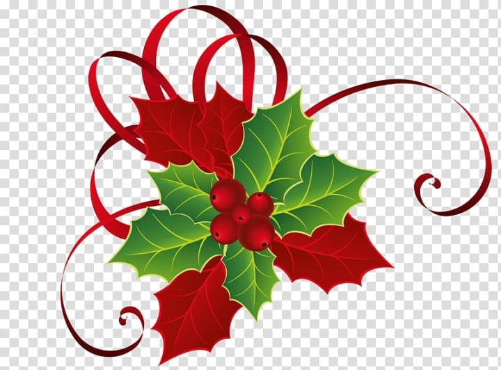 holly,mistletoe,christmas,cliparts,food,leaf,branch,twig,flower,fruit,floral design,poinsettia,plant,phoradendron tomentosum,mistletoe cliparts,aquifoliales,joulukukka,artwork,flowering plant,christmas ornament,aquifoliaceae,png clipart,free png,transparent background,free clipart,clip art,free download,png,comhiclipart