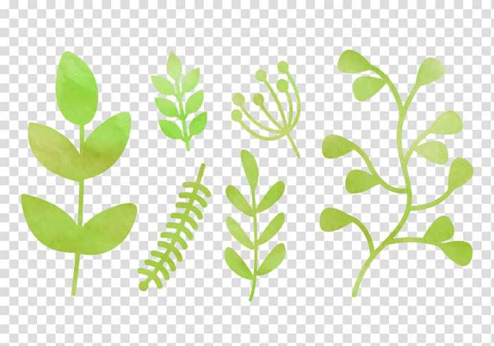 Natural Leaves Clipart Transparent Background, Natural Green Leaves, Nature  Clipart, Plant, Green PNG Image For Free Download