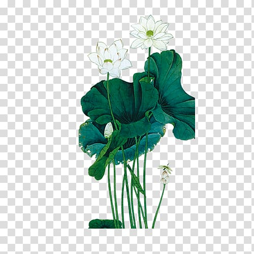 nelumbo,nucifera,ink,wash,painting,chinese,lotus,leaf,flower arranging,maple leaf,artificial flower,plant stem,shan shui,annual plant,flower,rose order,leafs,violet family,lotus vector,autumn leaf,leaf vector,common carp,chinese calligraphy,palm leaf,petal,plant,green,leaf and petals,birdandflower painting,seed plant,u611bu84eeu8aaa,nature,cut flowers,element,green leaf,flowerpot,inkstick,flowering plant,flower bouquet,floristry,floral design,lotus element,lotus flower,rose family,koi,nelumbo nucifera,ink wash painting,chinese painting,lotus leaf,png clipart,free png,transparent background,free clipart,clip art,free download,png,comhiclipart