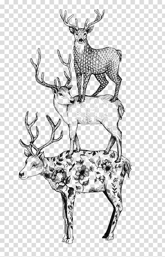 Free: Formosan sika deer Black and white, Black and white deer transparent  background PNG clipart 
