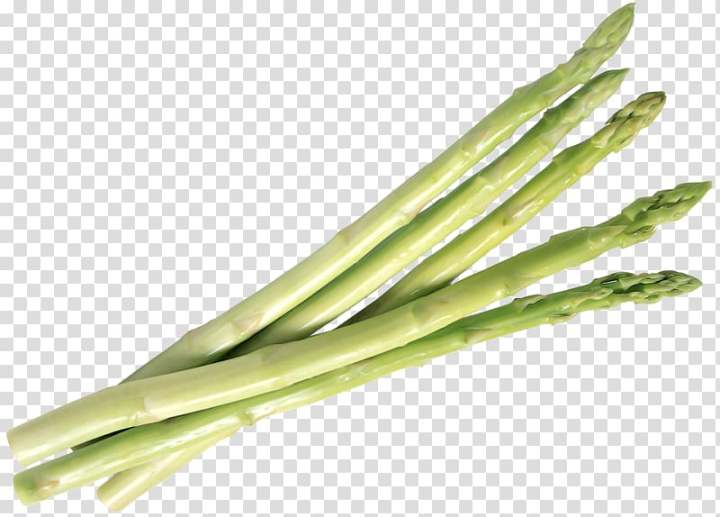 bamboo,shoot,leaf vegetable,food,plant stem,grass,vegetable salad,vegetables and fruits,vegetables,scallion,fruits and vegetables,shoots,potato,vegetation,shooting,allium fistulosum,bacon,bamboo shoots,bud,commodity,computer icons,food  drinks,fruit and vegetable,welsh onion,asparagus,bamboo shoot,vegetable,png clipart,free png,transparent background,free clipart,clip art,free download,png,comhiclipart