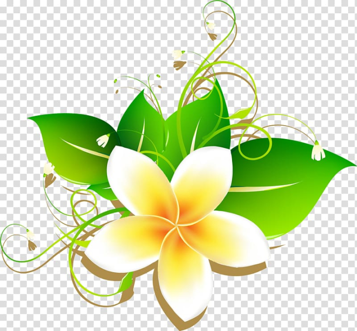 Free: Yellow plumeria flower art, Frangipani Drawing, Cartoon egg flower  material transparent background PNG clipart 