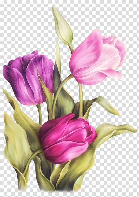 watercolor,painting,purple,herbaceous plant,flower arranging,violet,plant stem,flower,magenta,lilac,picture frames,plant,petal,printmaking,still life photography,lily family,art museum,bud,cut flowers,drawing,floral design,floristry,flower bouquet,flowering plant,watercolor painting,tulip,pink,tulips,flowers,png clipart,free png,transparent background,free clipart,clip art,free download,png,comhiclipart