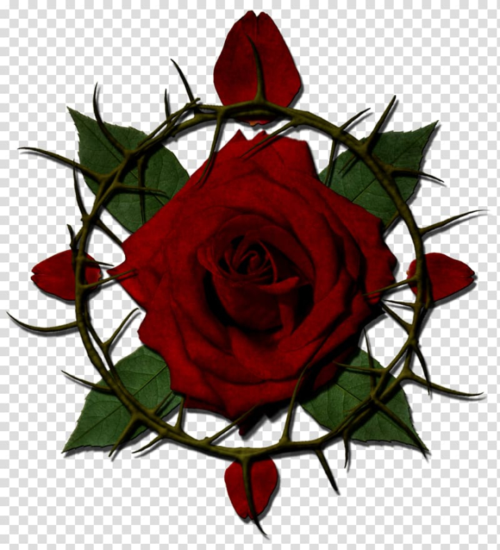 rose border with thorns