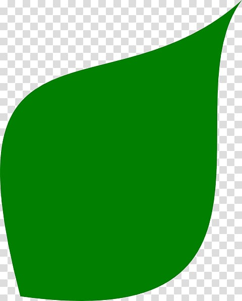 leaf,shape,green,cliparts,angle,rectangle,grass,geometric shape,free content,computer icons,line,oval,plant,autumn leaf color,green shape cliparts,leaf shape,art - green,png clipart,free png,transparent background,free clipart,clip art,free download,png,comhiclipart