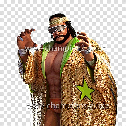 wwe,championship,halloween,havoc,professional,wrestler,champions,puzzle,rpg,game,world,wrestling,sports,costume,wwe championship,wwe champions  free puzzle rpg game,world championship wrestling,randy savage,professional wrestler,youtube,png clipart,free png,transparent background,free clipart,clip art,free download,png,comhiclipart